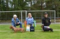 BIR o BIM SN DSC_0756.JPG