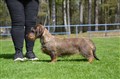 BIM SN Sätila -26 DSC_1626.JPG