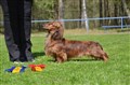 BIR LD Sätila -26 DSC_1676.JPG