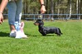 BIS 2 Valp Sätila -26 DSC_1441.JPG