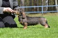 BIS Baby SD Sätila -26 DSC_1614.JPG