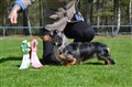 BIS Valp 4 Sätila -26 DSC_1448.JPG