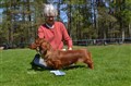 DSC_1478.JPG