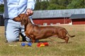 BIR KN Vårgårda -26 DSC_1107.JPG