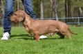 BIR SN Sätila -26 DSC_1607.JPG