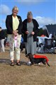 BIS VALP 4-6 Vårgårda -26 DSC_0992.JPG